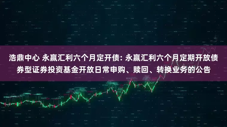 浩鼎中心 永赢汇利六个月定开债: 永赢汇利六个月定期开放债券型证券投资基金开放日常申购、赎回、转换业务的公告