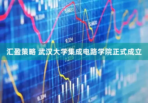 汇盈策略 武汉大学集成电路学院正式成立