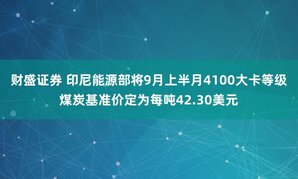 财盛证券 印尼能源部将9月上半月4100大卡等级煤炭基准价定为每吨42.30美元